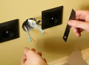 électricité générale à Châteauroux - image 4